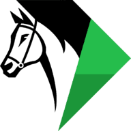 Logo TOP HIPPIQUE PRONOS